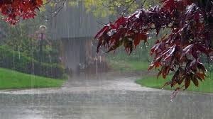 rain-brings-happiness-as-well-as-sorrow